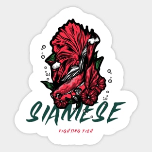 Siamese - Fighting Fish Sticker